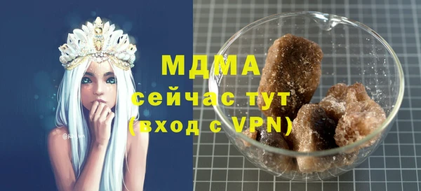 МДПВ Снежногорск