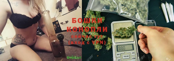 стафф Аркадак