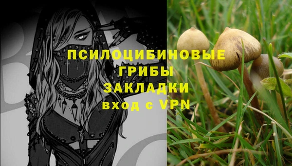 2c-b Слюдянка