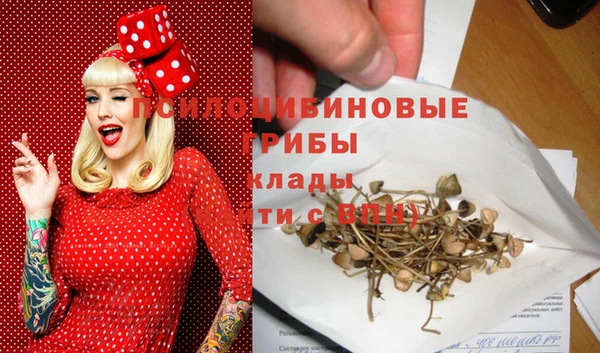 альфа пвп Армянск